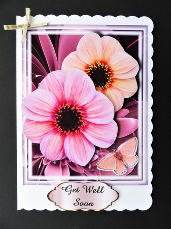 beautiful daisies by Valerie Spowart