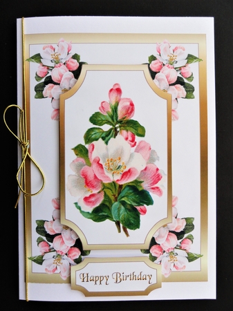 Apple blossom 5x7 by Valerie Spowart