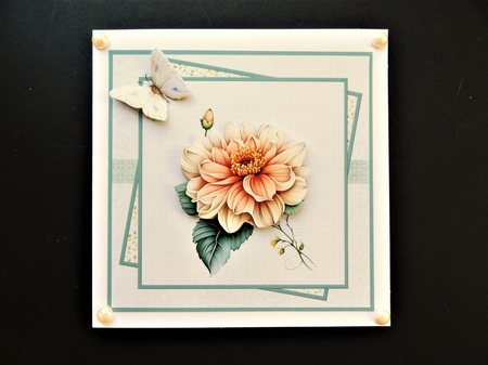 Dahlia and butterfly 7x7 by Valerie Spowart