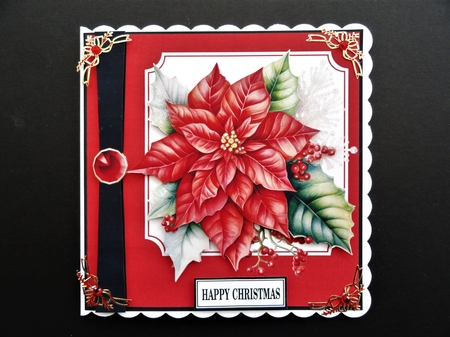 CHRISTMAS POINSETTIA by Valerie Spowart