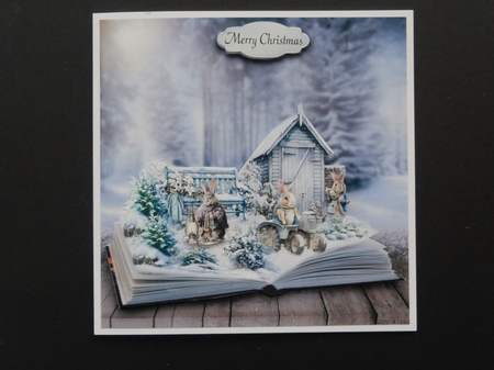 rabbits in the winter garden by Valerie Spowart