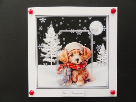 Puppy dog 7x7 by Valerie Spowart
