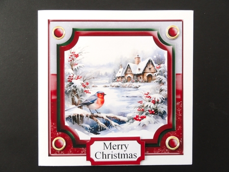Christmas Bird Winter Scene Topper 3  6x6 by Valerie Spowart