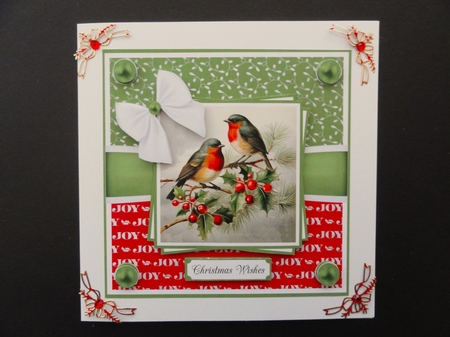 Robins by Valerie Spowart