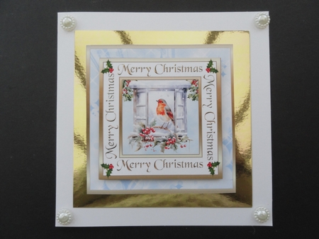 SC Windows with robin by Valerie Spowart