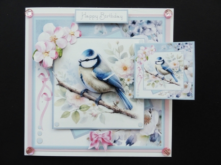 Bluetits and Blossoms by Valerie Spowart