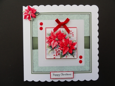 Poinsettia Blooms by Valerie Spowart