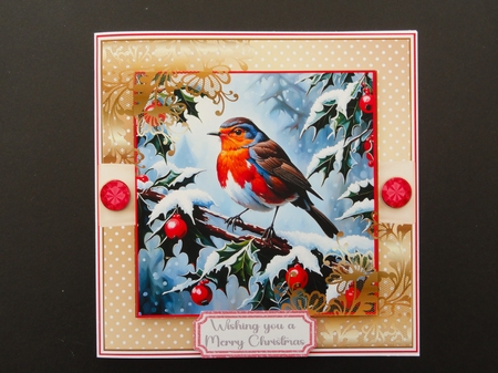 Christmas Robin 9 by Valerie Spowart