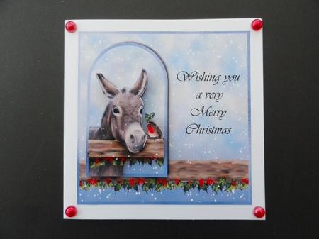 Little Donkey & Robin Christmas topper for 6x6 card by Valerie Spowart