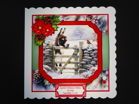 Winter Friends, Donkey & Robin - 6x6 by Valerie Spowart