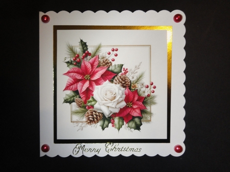 12 Poinsettia Backgounds by Valerie Spowart