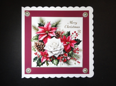 12 Poinsettia Backgounds by Valerie Spowart