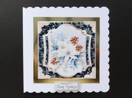 Blooming Christmas 30 by Valerie Spowart