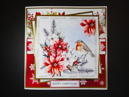 Poinsettia Robin by Valerie Spowart