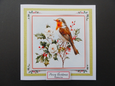 A Little Robin Told Me 11 by Valerie Spowart
