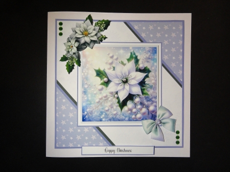 Christmas Star Flowers by Valerie Spowart