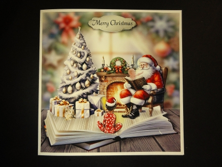 Reading with Santa by Valerie Spowart