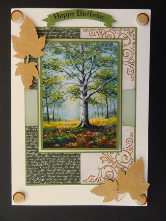 Woodland Scene 1 by Valerie Spowart
