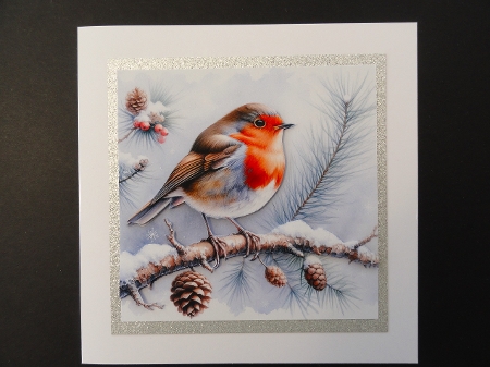 6x6 Christmas Robins 1 - Illustrations for Cardmakers & Designers  by Valerie Spowart