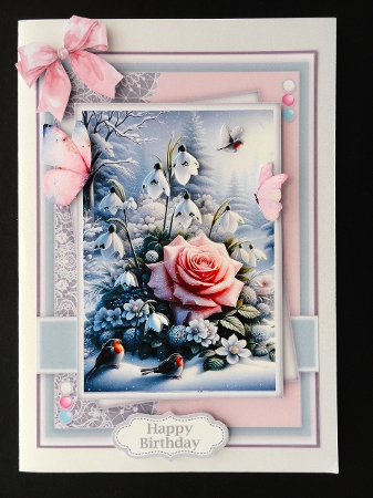 Blooming Winter Rose by Valerie Spowart