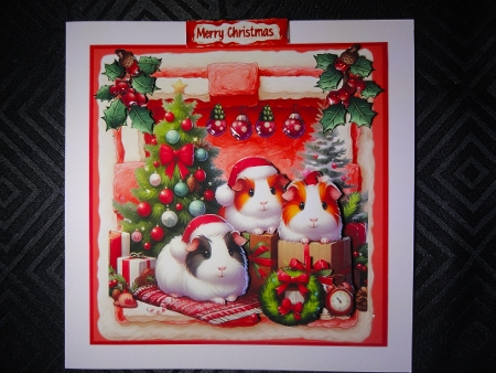 Festive Guinea Pigs by Valerie Spowart