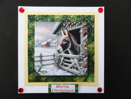 Donkey Christmas1 by Valerie Spowart