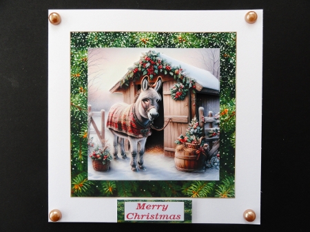 Donkey Christmas 6 by Valerie Spowart