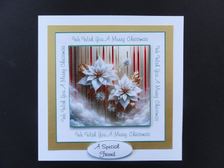 Christmas Flowers  by Valerie Spowart