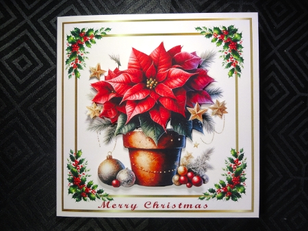 poinsettia  christmas by Valerie Spowart