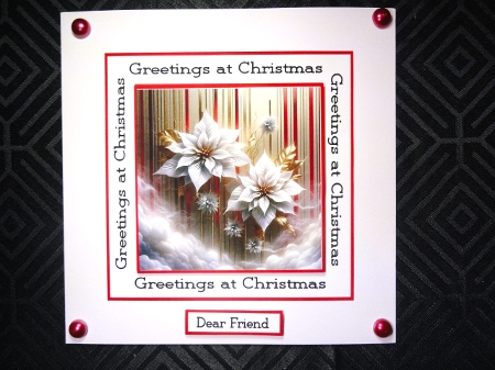 Poinsettia white by Valerie Spowart