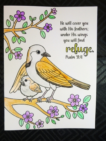10 Birds and Psalms Bible Verse Colouring Cards by Valerie Spowart