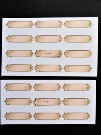 Metallic Blank Greetings Text Plates by Valerie Spowart