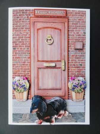 Miniature Long Haired Dachshund on a Door Step by Valerie Spowart