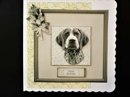 German Shorthaired Pointer Portrait by Valerie Spowart