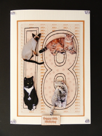 Cat 18th Birthday Cat 3D Decoupage by Valerie Spowart