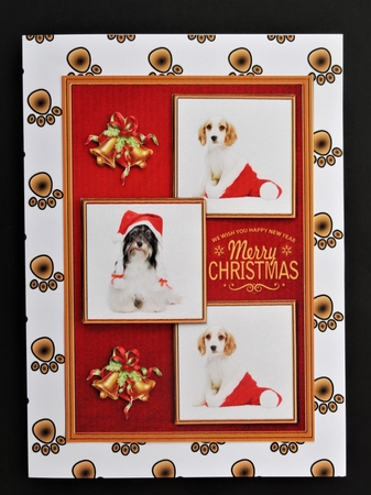 Dog Paws Background by Valerie Spowart
