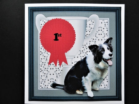 Border Collie Trophy & Rosette 8x8 Card by Valerie Spowart