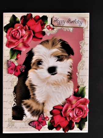 Gorgeous Shitzu in Hot Pink Roses by Valerie Spowart