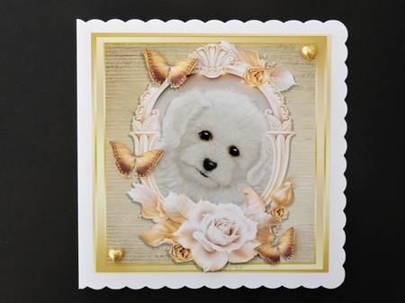 Beautiful Bichon Frise with Cream & Gold Roses by Valerie Spowart