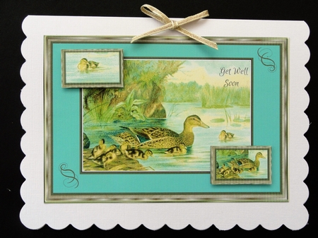 Get Well Soon Card with Duck & Ducklings on a Pond by Valerie Spowart