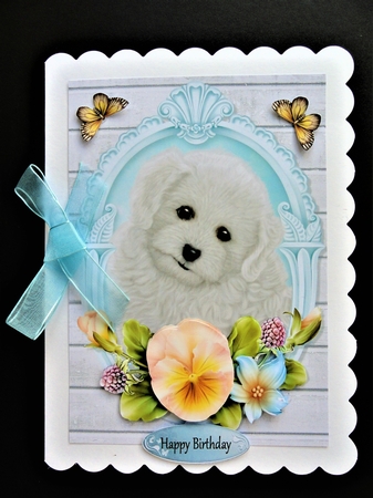 Cute Bichon Frise with Yellow Pansys by Valerie Spowart