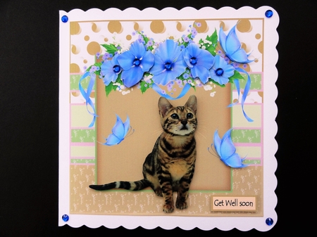 chasing butterflies by Valerie Spowart