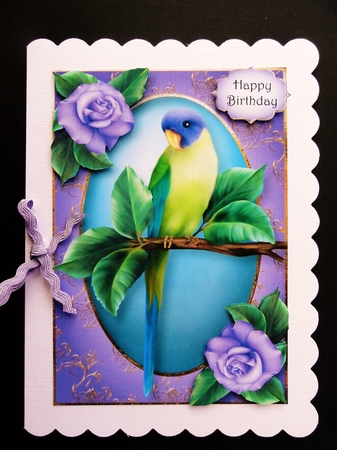 Pretty Parakeet & Roses A5 by Valerie Spowart