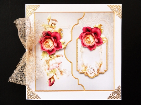 Anniversary rose by Valerie Spowart