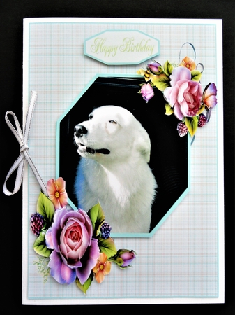 Gorgeous Tilly - Lovable Pet Collection by Valerie Spowart