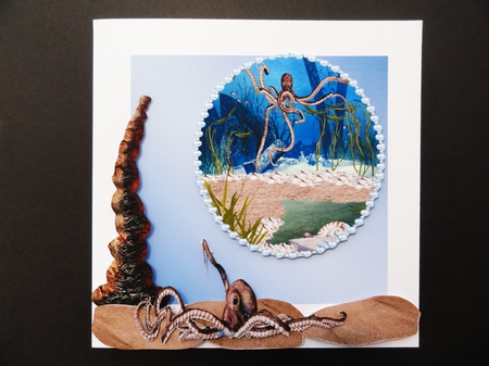 Sea World by Valerie Spowart