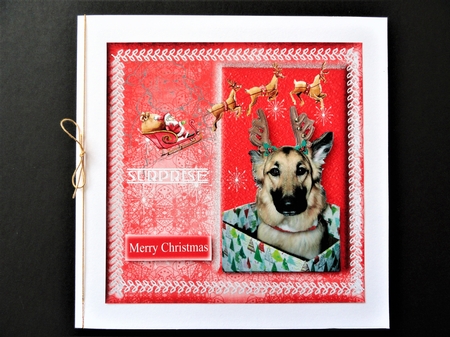 Doggy Christmas Surprise by Valerie Spowart