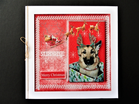 Doggy Christmas Surprise by Valerie Spowart