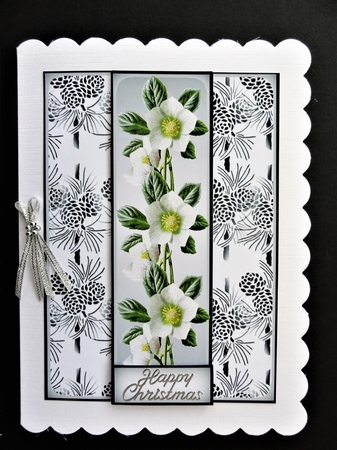 Christmas Rose 2 by Valerie Spowart