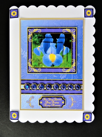 Birthstone and Birth Flower - February by Valerie Spowart
